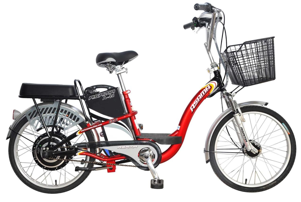 Xe đạp điện Asama có tốt không? | websosanh.vn